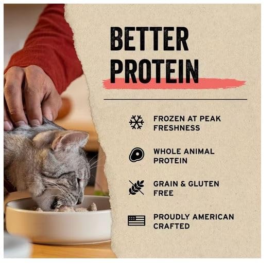 Vital Essentials Freeze Dried Cat Treats, Minnows 0.5 oz