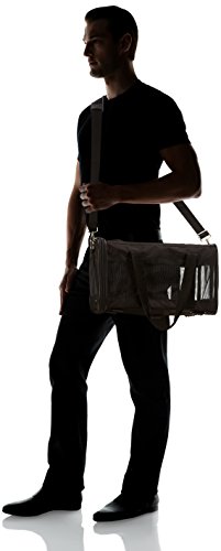 Soft-Sided Mesh Pet Travel Carrier, Medium - Black