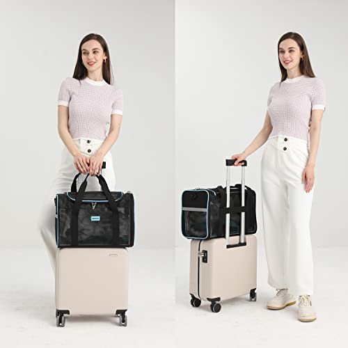 Soft Surface Pet Carrier for Cats, Dogs, and Rabbits