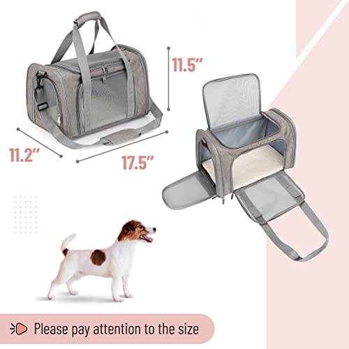 Soft-Sided Pet Carrier for Cats and Dogs