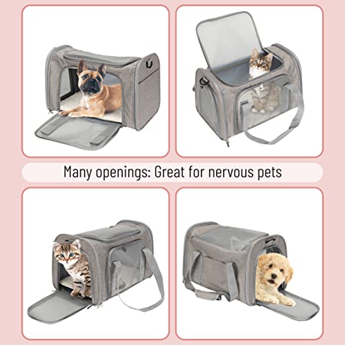 Soft-Sided Pet Carrier for Cats and Dogs