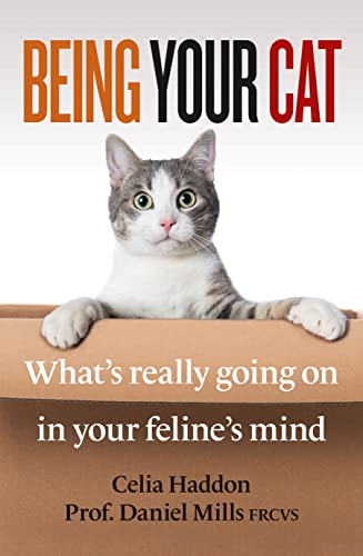 Inside the Mind of Your Feline Companion
