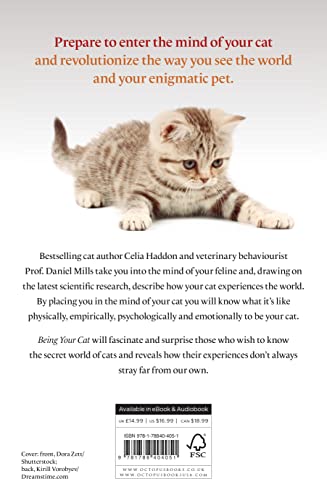 Inside the Mind of Your Feline Companion