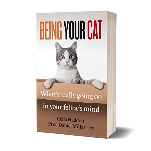 Inside the Mind of Your Feline Companion