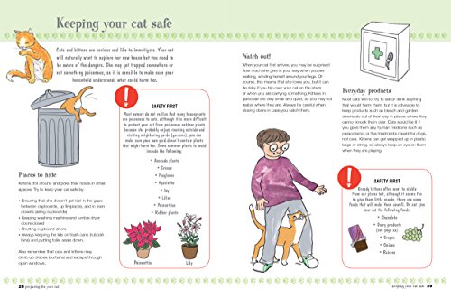 Cat Care Fun: Simple Guide for Kids, Age 7+