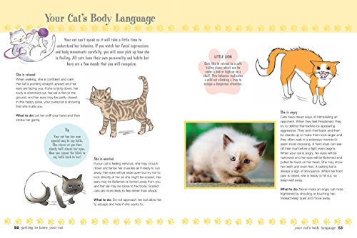 Cat Care Fun: Simple Guide for Kids, Age 7+