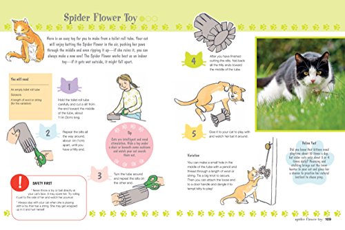 Cat Care Fun: Simple Guide for Kids, Age 7+