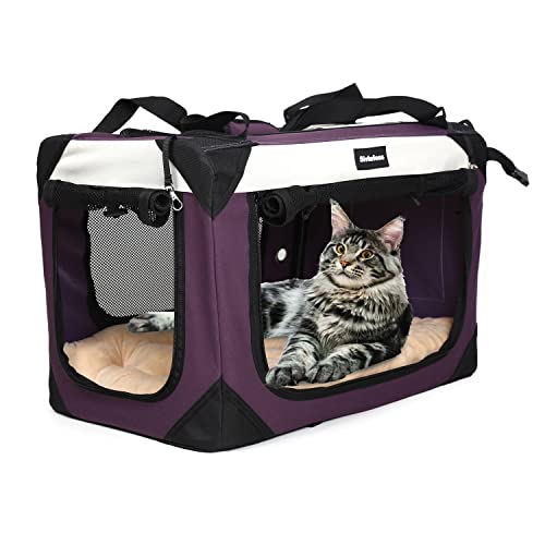 Large Soft-Sided Cat Carrier with Super Soft Pillow