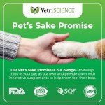 VETRISCIENCE Crunchy Teeth Cleaning Treats for Cats