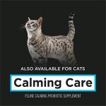Purina Pro Plan Calming Care Dog Supplements - 30ct