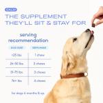 Natural Calming Chews for Dogs with Melatonin