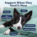 Solid Gold Calming Chews for Dogs 120ct