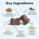 Solid Gold Calming Chews for Dogs 120ct