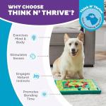 Outward Hound Level 4 Expert Dog Treat Puzzle