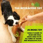 Lilfrd Squeaky Dog Puzzle Toy - Turtle Design