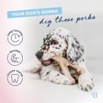 Benebone Puppy Chew Toys 4-Pack for Small Dogs