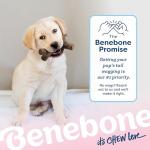 Benebone Puppy Chew Toys 4-Pack for Small Dogs