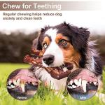 Durable Dog Toys for Strong Chewers, Beef Flavor