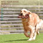 Durable Dog Toys for Strong Chewers, Beef Flavor