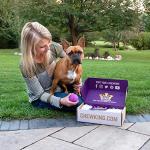 Mammoth Chew King Medium Durable Fetch Balls