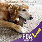 Mammoth Chew King Medium Durable Fetch Balls