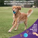 Mammoth Chew King Medium Durable Fetch Balls