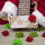 Mammoth Chew King Medium Durable Fetch Balls