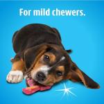 Hartz Bacon Flavored Dental Chew Toy for Dogs