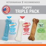 Nylabone Puppy Starter Kit with Chew Toys