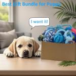 20 Pack Blue Puppy Chew Toy Bundle