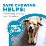 Outward Hound Dogwood Chew Toys - 2-Pack