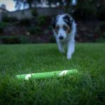 Chuckit! Max Glow Fetch Stick Dog Toy, 12 Inches