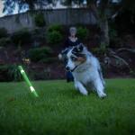 Chuckit! Max Glow Fetch Stick Dog Toy, 12 Inches