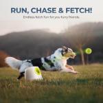 Automatic Ball Launcher for Dogs with 6 Balls