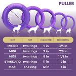 Puller Outdoor Dog Ring Toys for Fetch and Tug