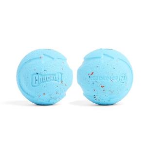 Chuckit! Rebounce Bouncy Fetch Balls for Dogs