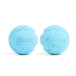 Chuckit! Rebounce Bouncy Fetch Balls for Dogs