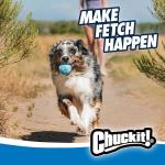Chuckit! Rebounce Bouncy Fetch Balls for Dogs