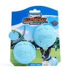 Chuckit! Rebounce Bouncy Fetch Balls for Dogs