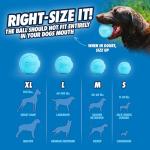 Chuckit! Rebounce Bouncy Fetch Balls for Dogs