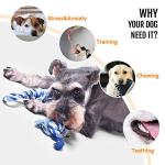 Fida Dog Rope Toys for Teething and Tugging