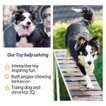 Fida Dog Rope Toys for Teething and Tugging