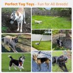 LOOBANI Bungee Tug Toy for Active Dogs