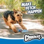 Chuckit! Ultra Squeaker Fetch Balls for Dogs