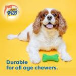 Hartz DuraPlay Squeaky Bone Dog Toy - 3 Pack