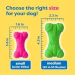 Hartz DuraPlay Squeaky Bone Dog Toy - 3 Pack