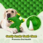 BBeary Plush Dragon Squeaky Toy for Dogs