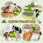 BBeary Plush Dragon Squeaky Toy for Dogs