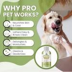 Oatmeal Dog Shampoo & Conditioner for Sensitive Skin