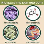 Oatmeal Dog Shampoo & Conditioner for Sensitive Skin